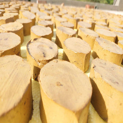 PanchGavya Organic Body Soap