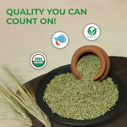 Organic Bajra Whole | Pearl Millet | Kambu