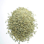 Pearl Millet