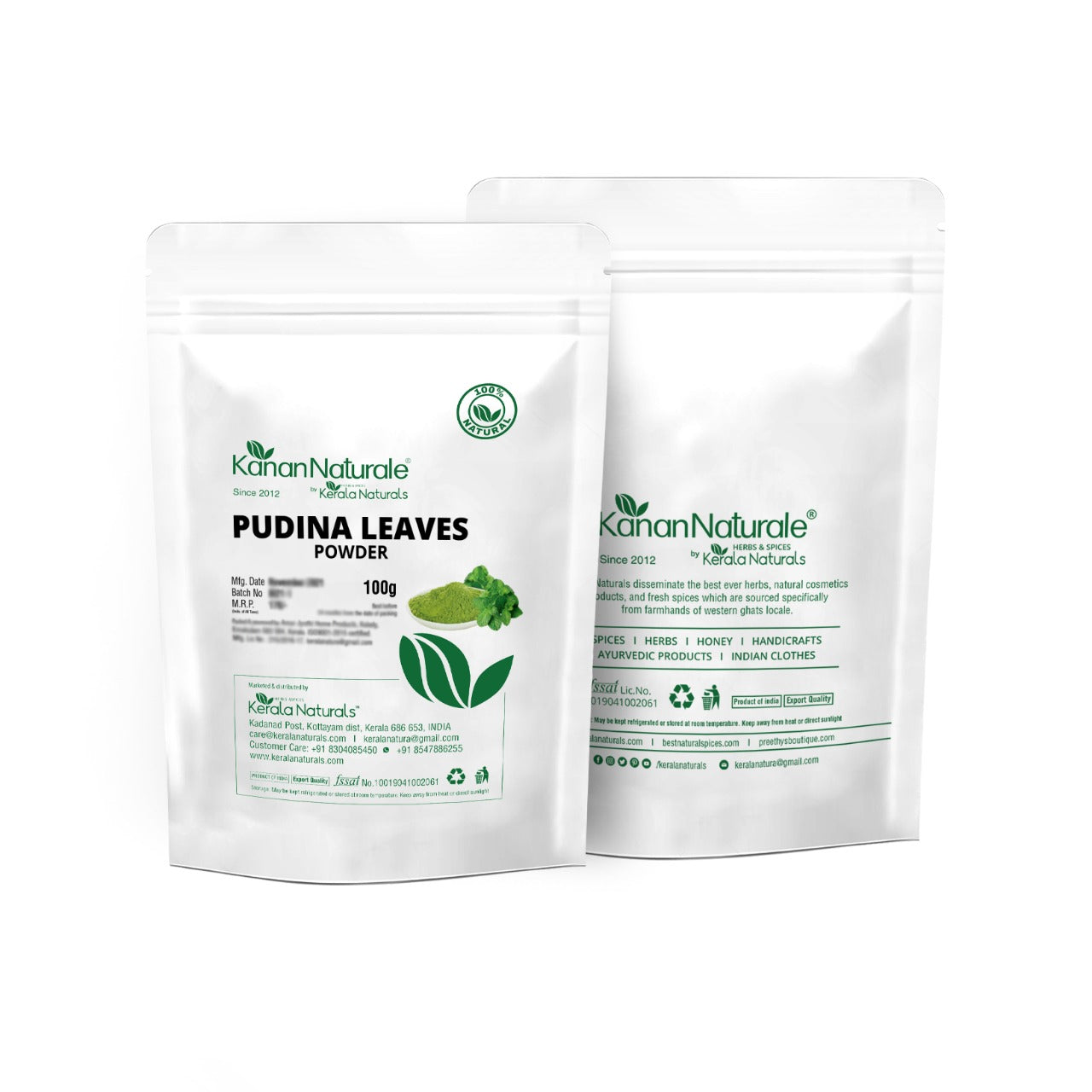 PUDINA LEAVES POWDER