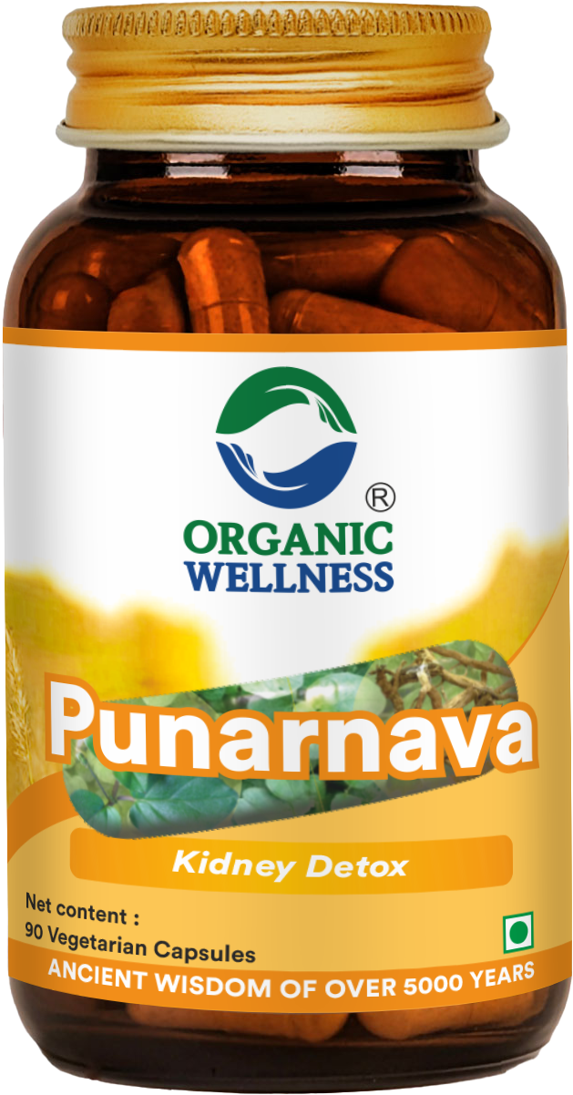 Punarnava 90 Capsules