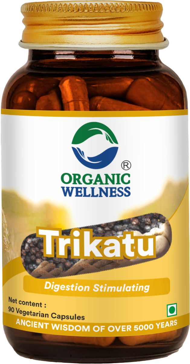 Trikatu 90 Capsules