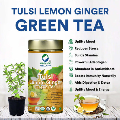 Organic Wellness Tulsi Lemon Ginger Green Tea