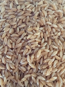 Organic Bhaliya Wheat