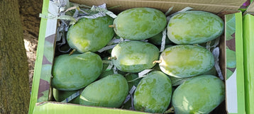 Organic Kesar Mango