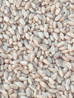 Organic Tukdi Wheat