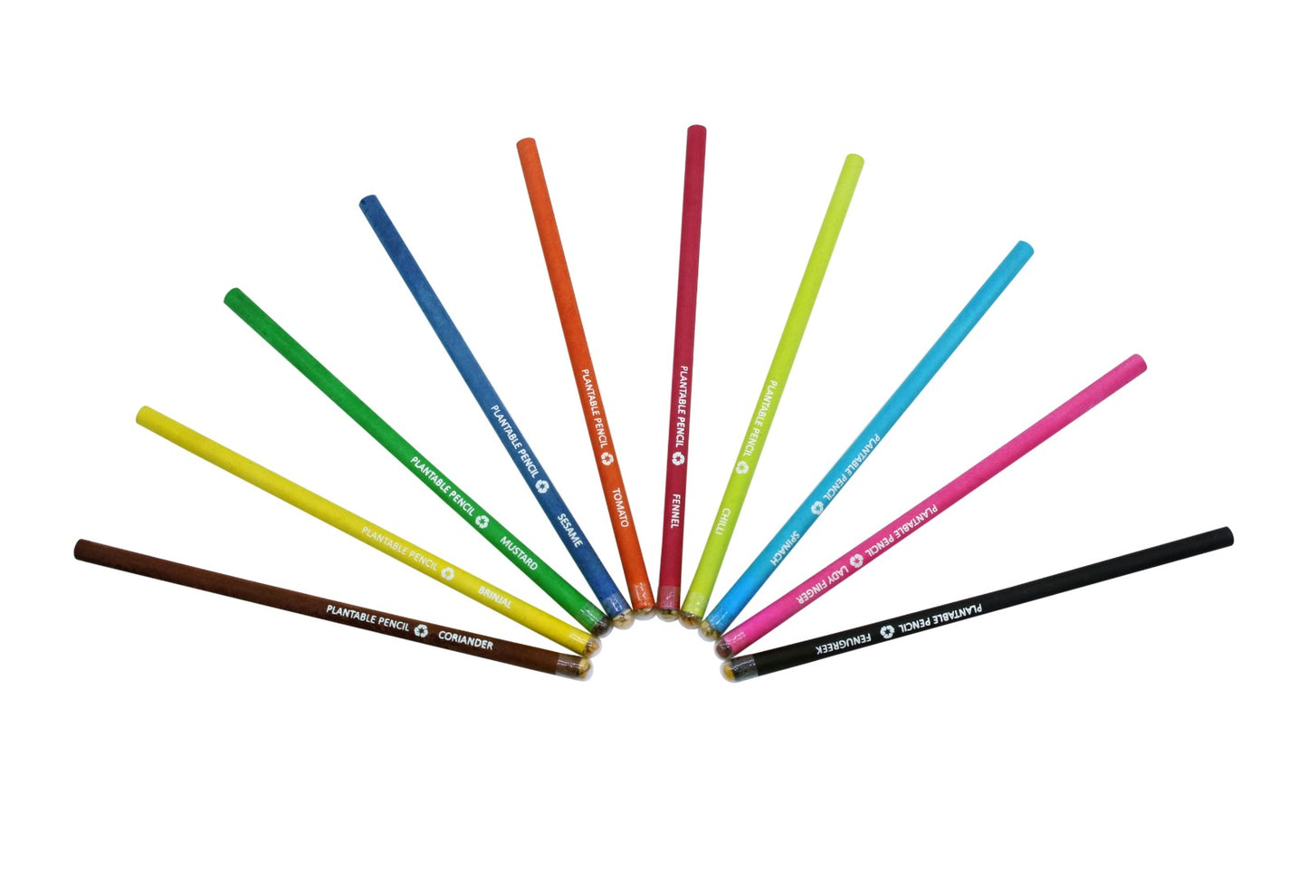 PLANTABLE SEED COLOUR  PAPER PENCIL (10 pcs)