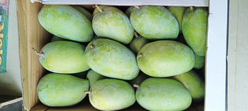 Organic Kesar Mango