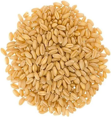 Wheat (Soneri Tukdi)