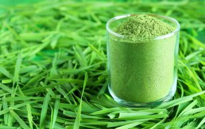 Wheat Grass Powder