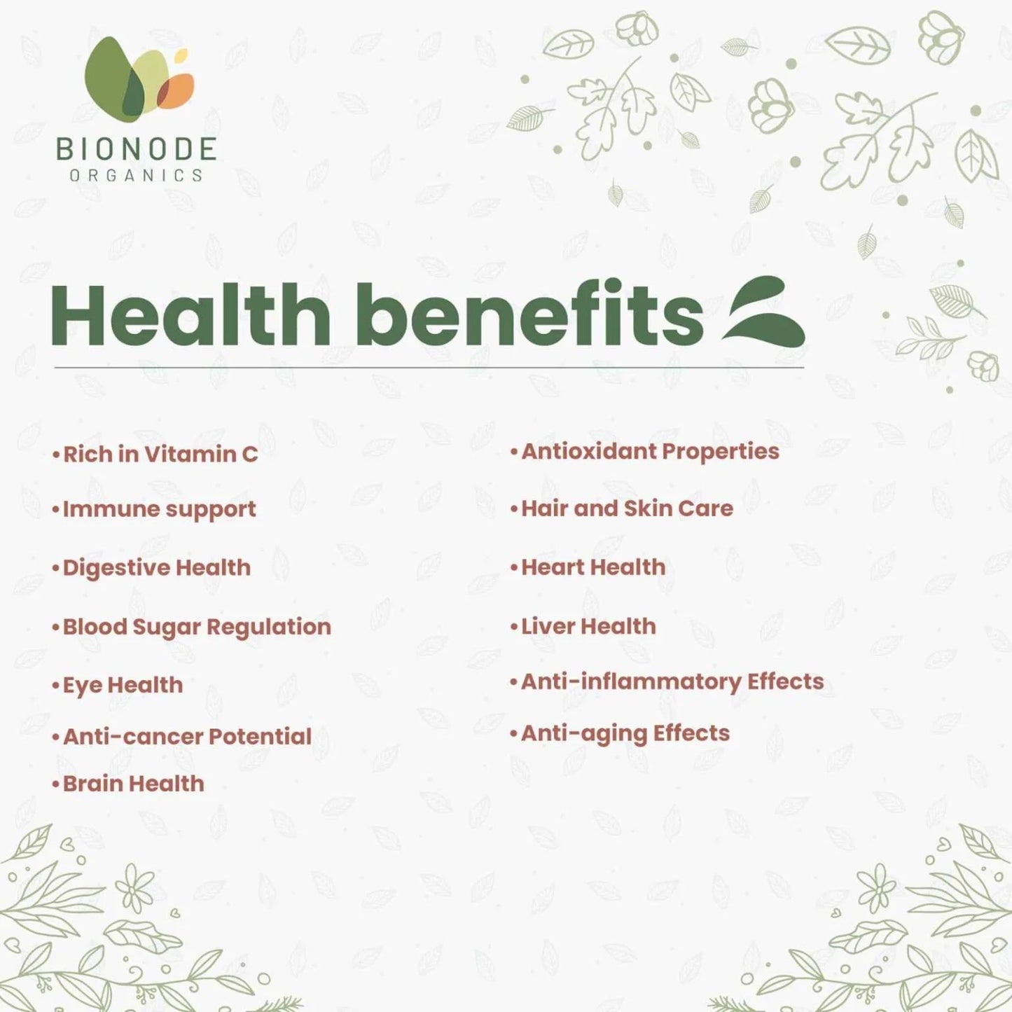 Bionode Organic Amla Powder