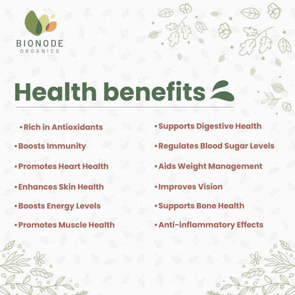 Bionode Organic Jackfruit Powder