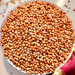 Red Sorghum Seeds/ Lal Jowar