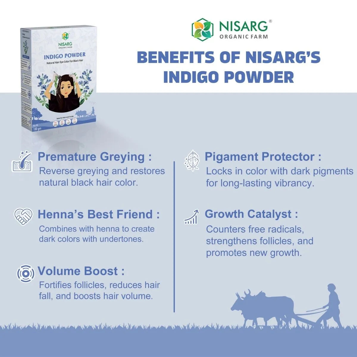 Natural Indigo Leaf Powder