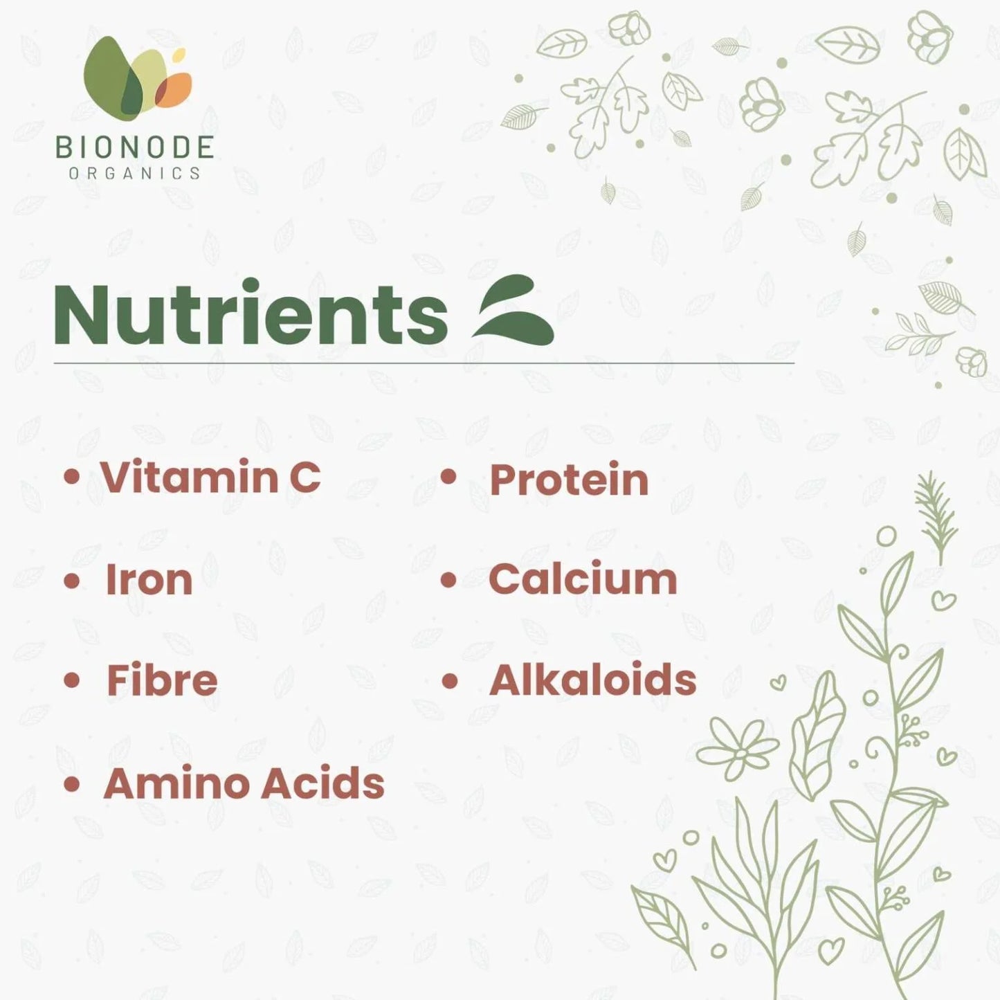 Bionode Organic Ashwagandha Powder