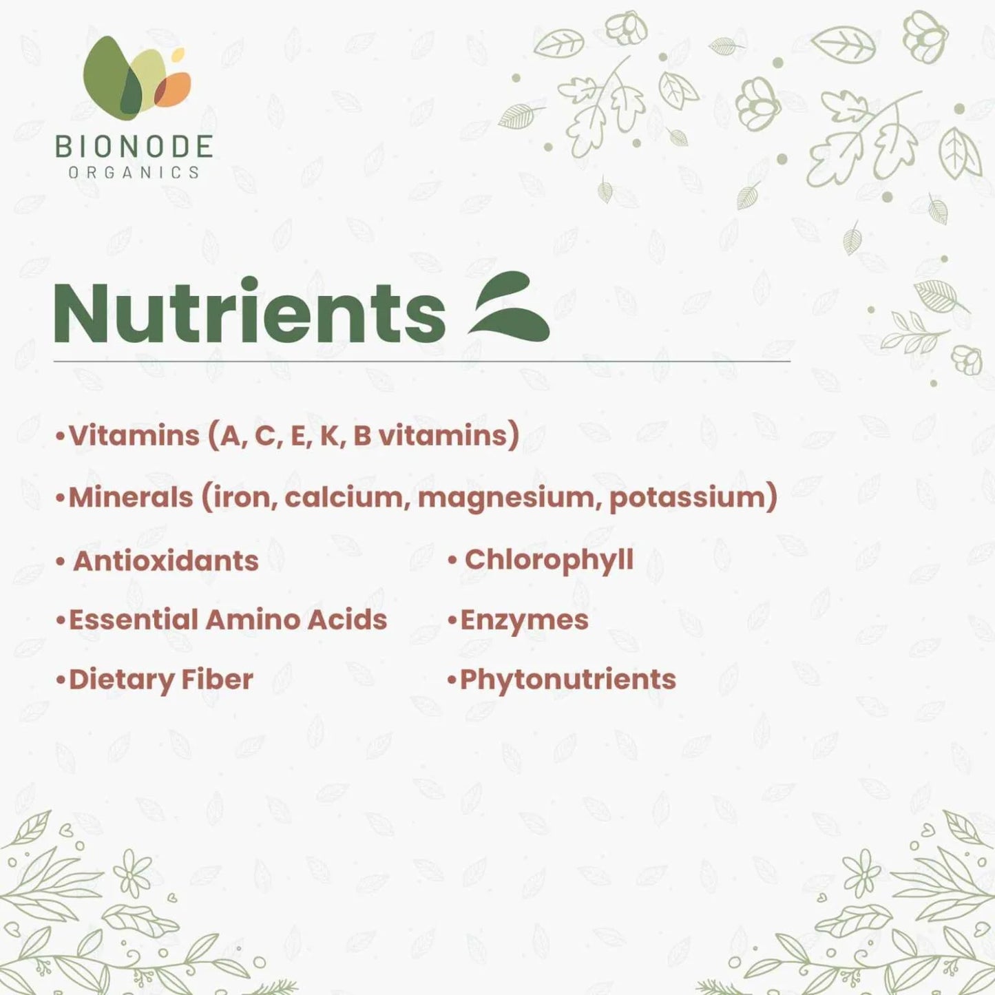 Bionode Organic Wheatgrass Powder