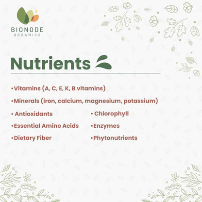 Bionode Organic Wheatgrass Powder