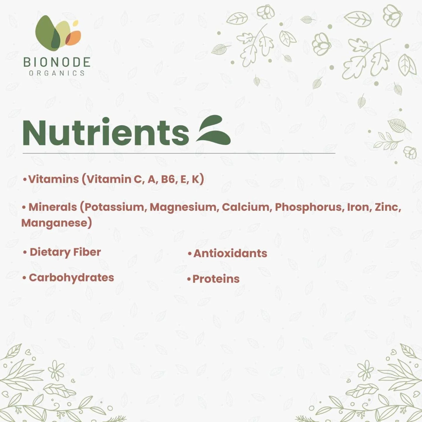 Bionode Organic Jackfruit Powder