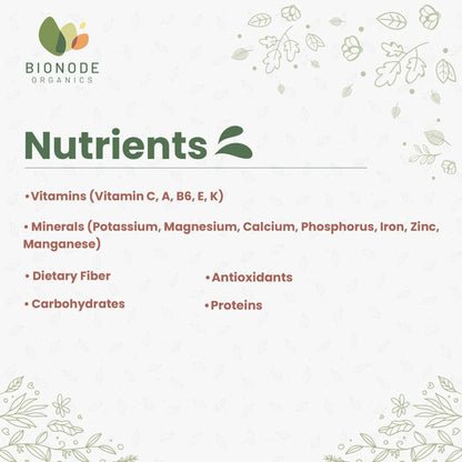 Bionode Organic Jackfruit Powder