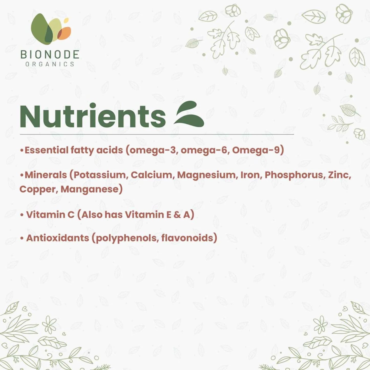 Bionode Organic Sea Buckthorn Berries Powder