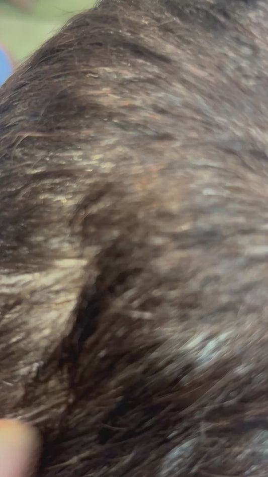 Aabhaveda Natural Hair Color 50 GM