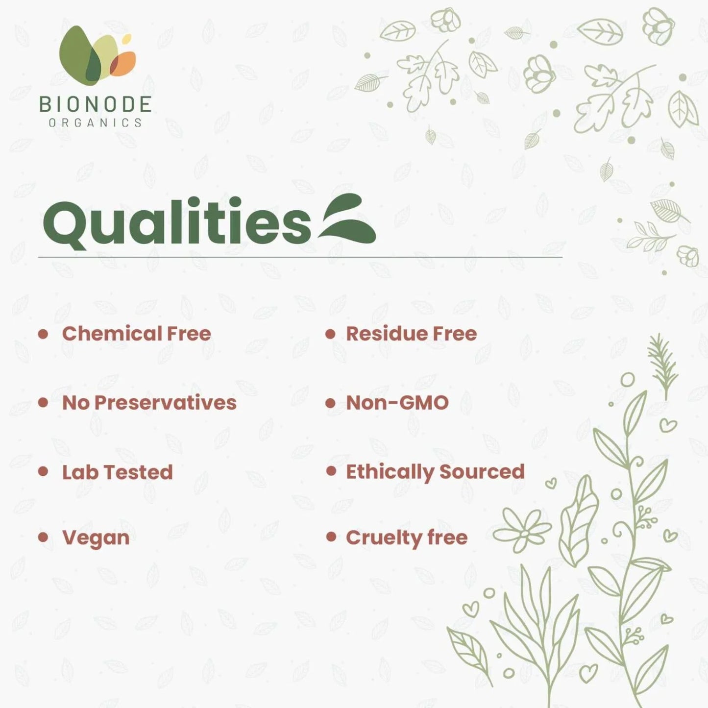 Bionode Organic Jackfruit Powder