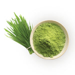 Wheatgrass Powder