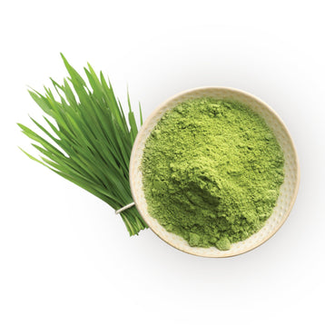 Wheatgrass Powder