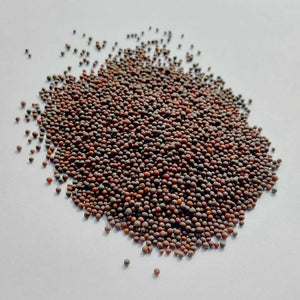 ORGANIC RAI (MUSTERD SEEDS)