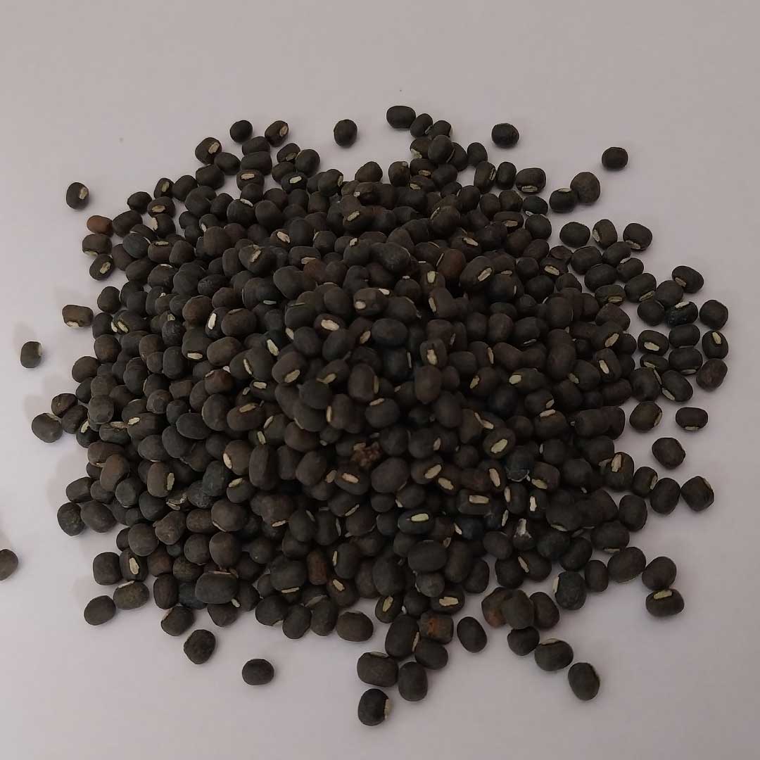 ORGANIC URAD