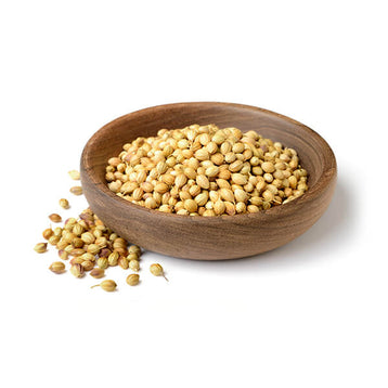 ORGANIC CORIANDER SEED