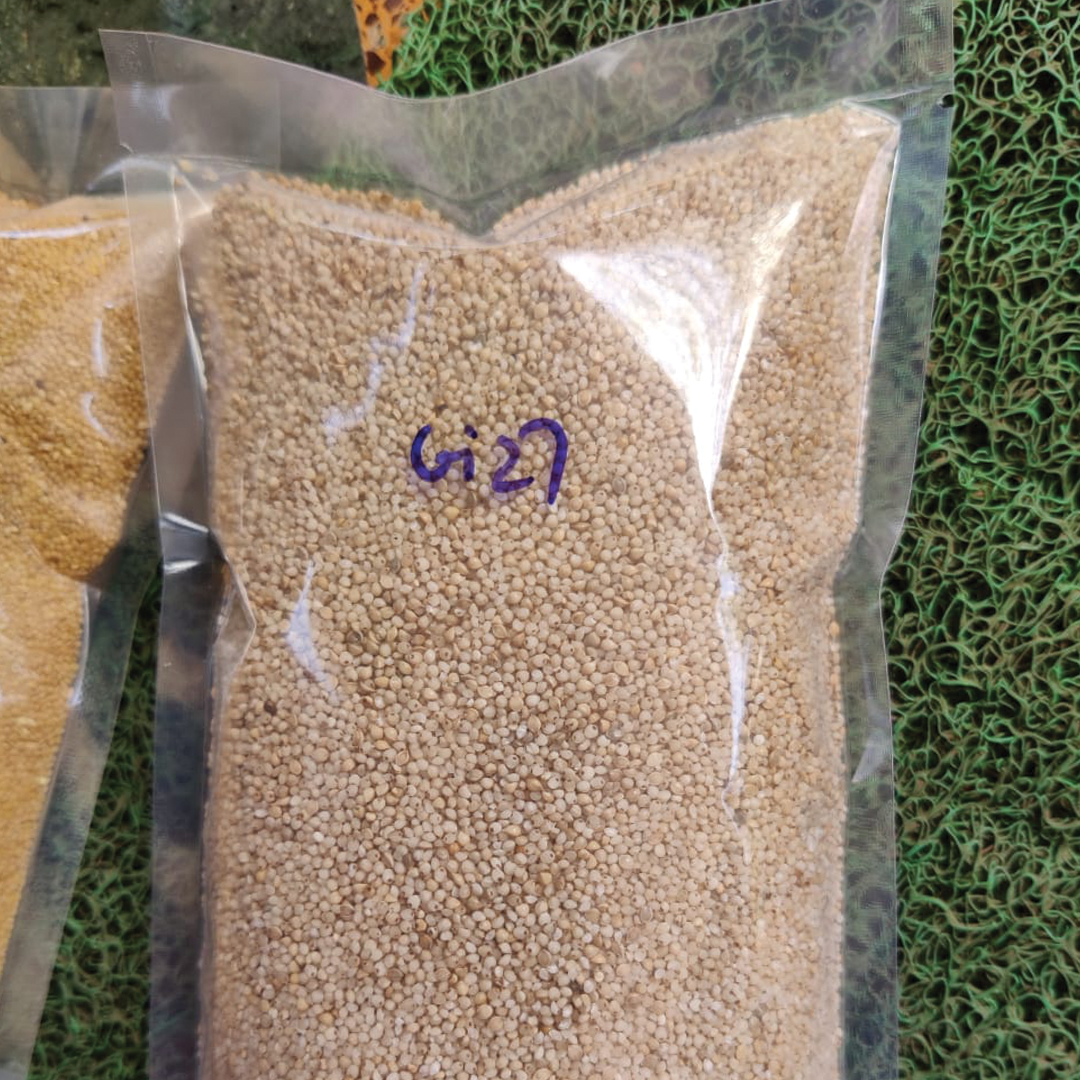 Organic Proso Millet (Chena/Barri)