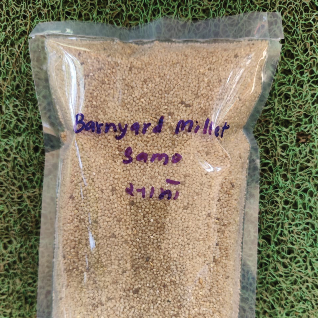 Organic Barnyard Millet (Sanwa)