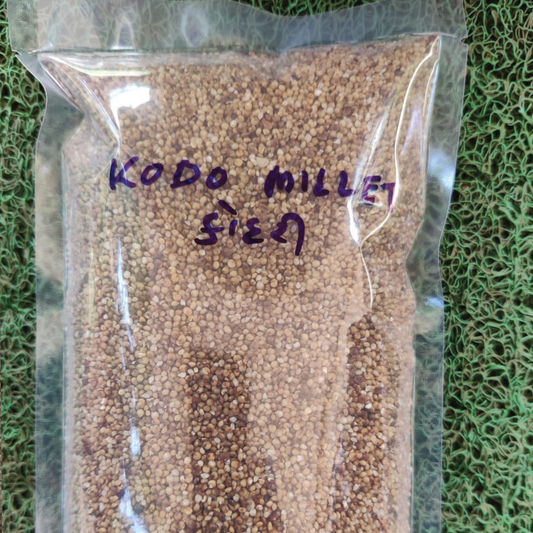 Organic Kodo Millet