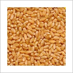 Natural Wheat