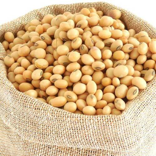 ORGANIC HIGH PROTIEN  SOYABEANS