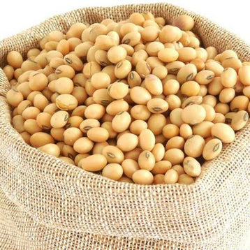 ORGANIC HIGH PROTIEN  SOYABEANS